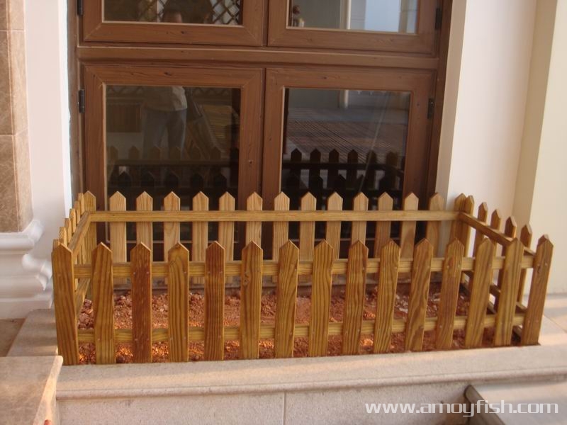 ����ľ�Ƈ���