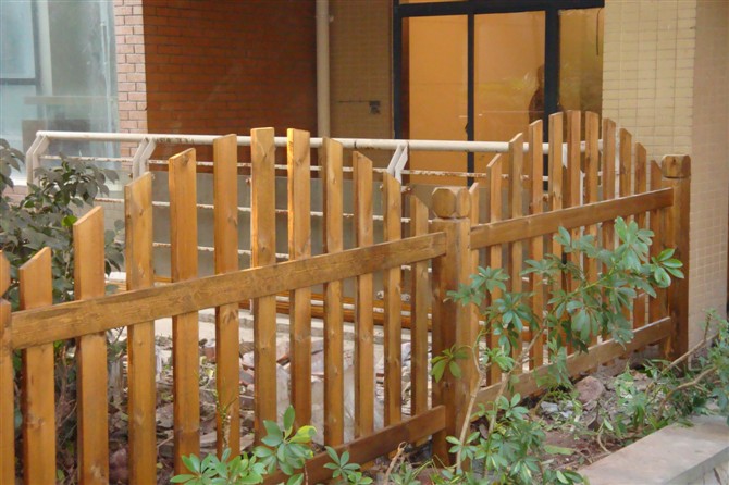 ����ľ����