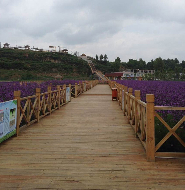 ľ���L(zh��ng)��-��������ľ